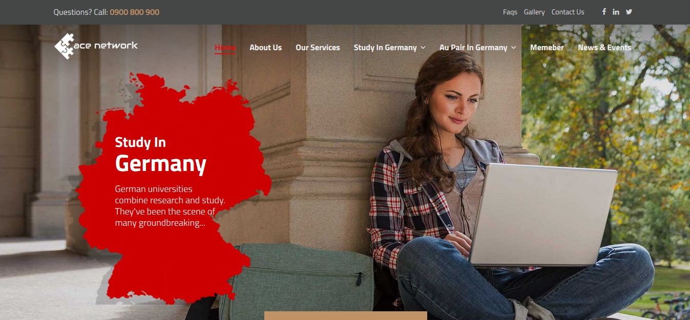 ace network theme nepal portfolio